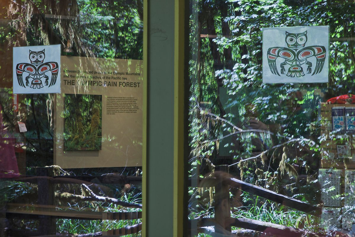 Rain forest, Hoh rain forest visitor center. Olympic National Park.  ()