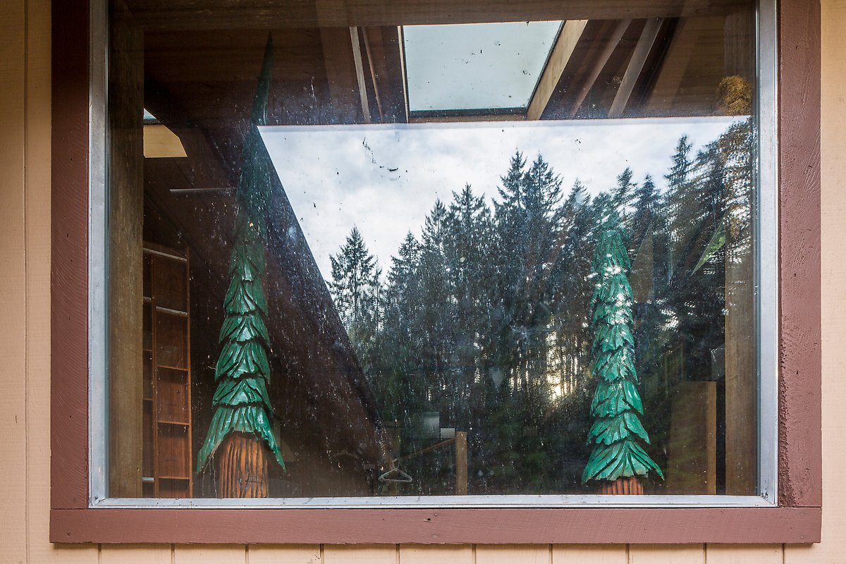 Redwood forest, Hiouchi Information center. Redwood National Park.  ()