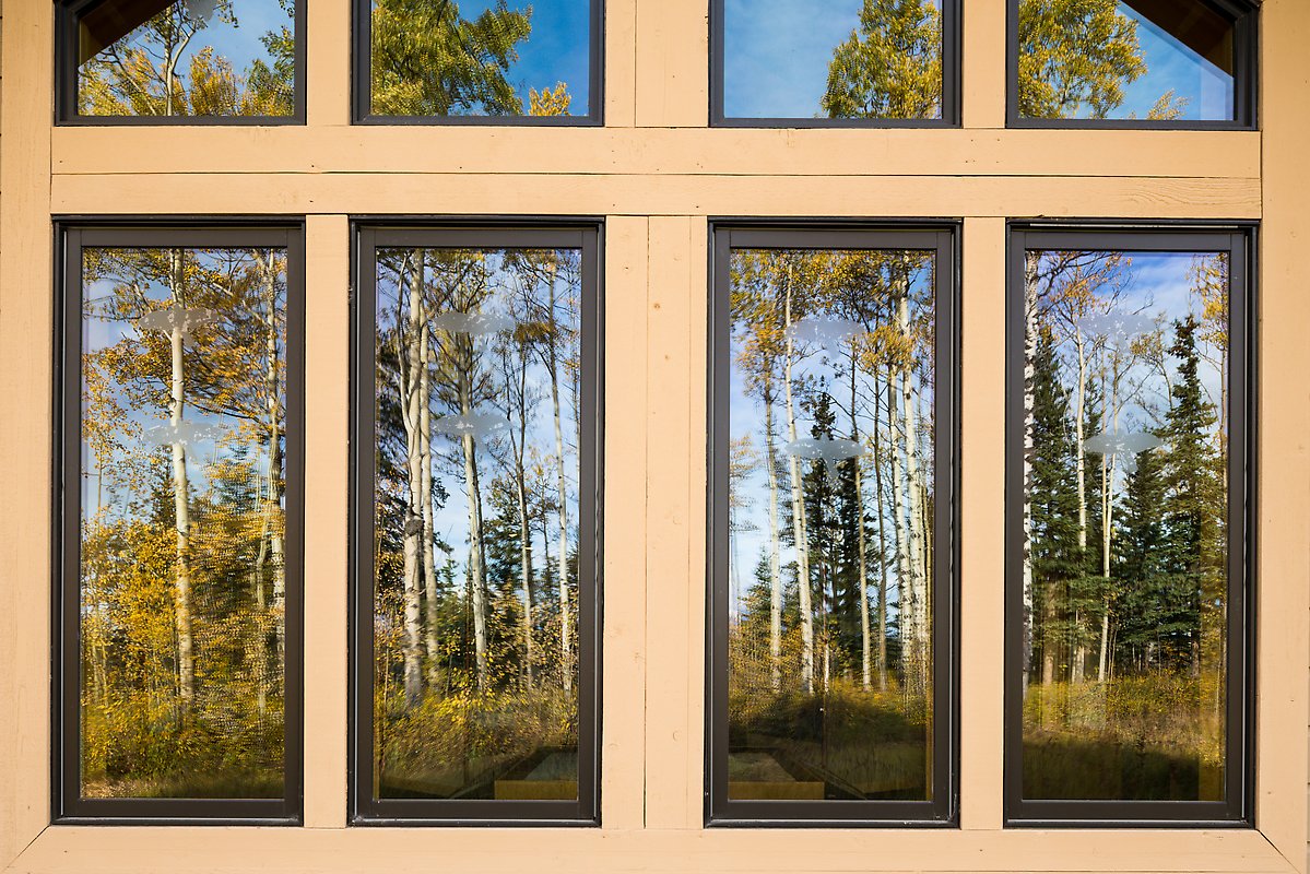 Aspens, Visitor Center. Wrangell-St Elias National Park.  ()