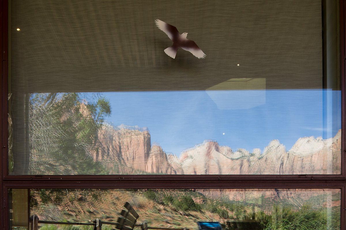 Towers of the Virgin, Zion Museum. Zion National Park.  ()